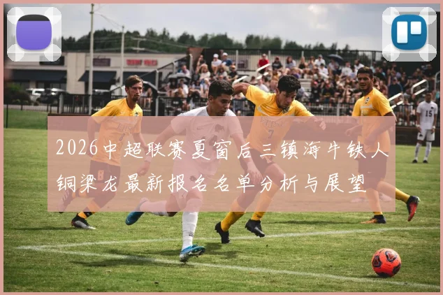 2026中超联赛夏窗后三镇海牛铁人铜梁龙最新报名名单分析与展望