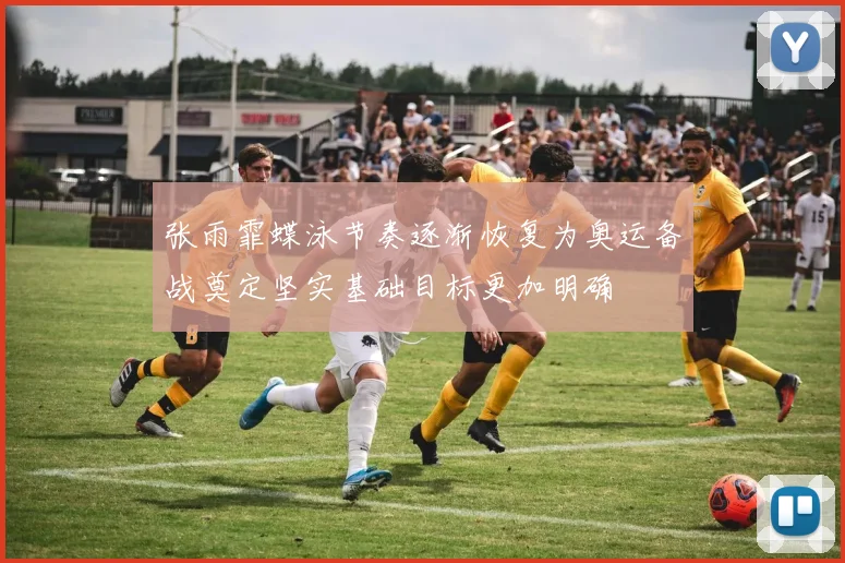 张雨霏蝶泳节奏逐渐恢复为奥运备战奠定坚实基础目标更加明确